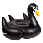 BlackSwanToy